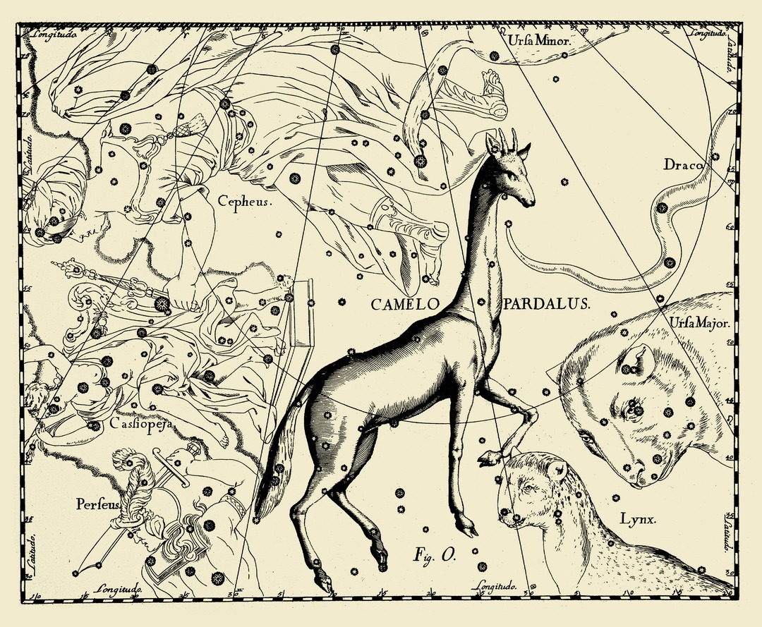 Camelopardalis Hevelius Atlas