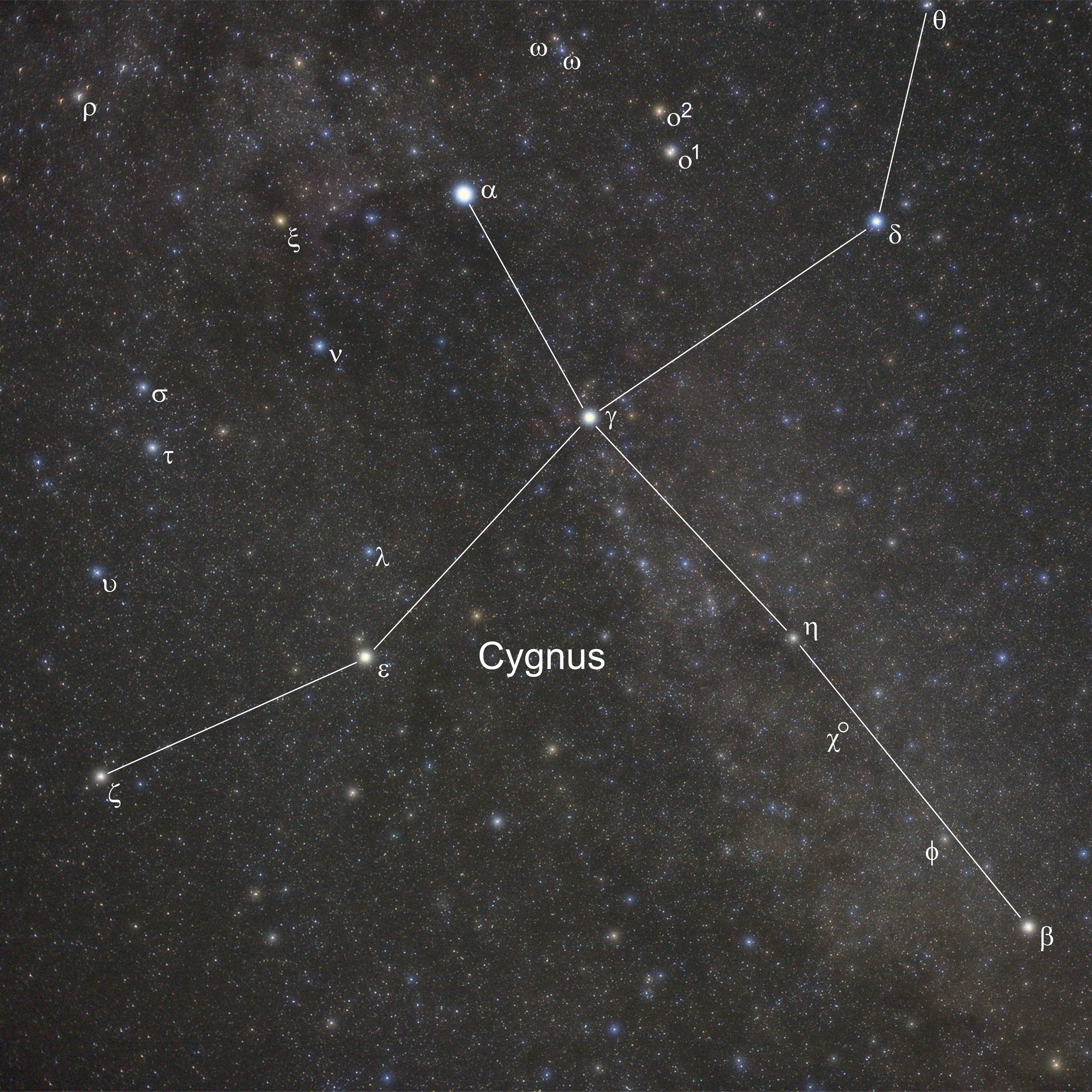 IAU Sternbild Cygnus