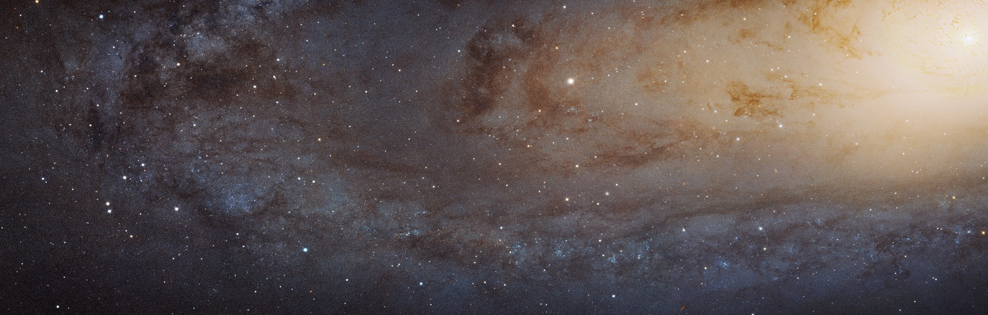 M31 HST mosaic