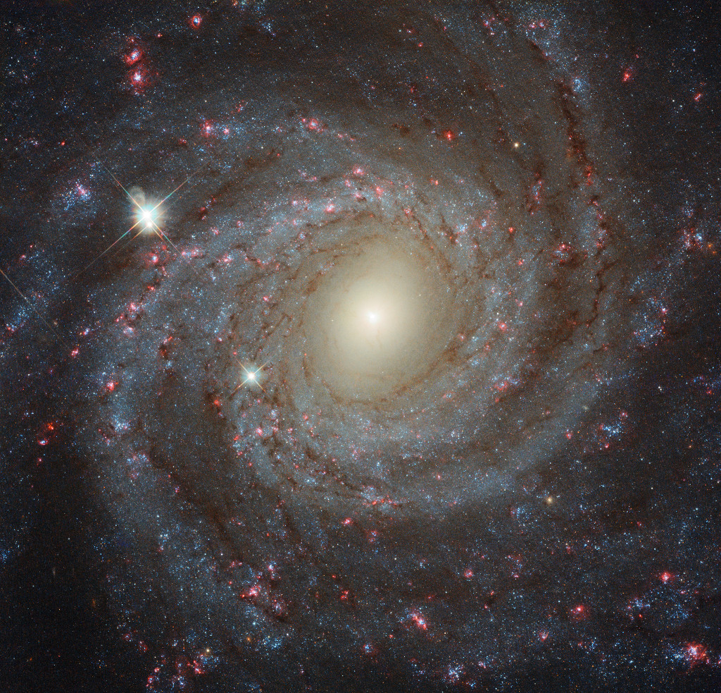 NGC3344 hst1024