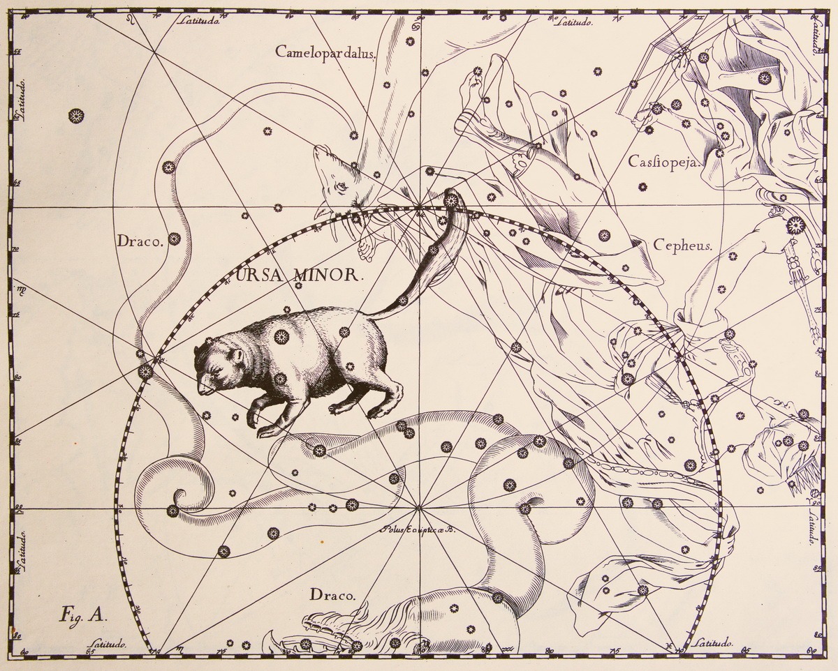 Ursa Minor Hevelius Atlas