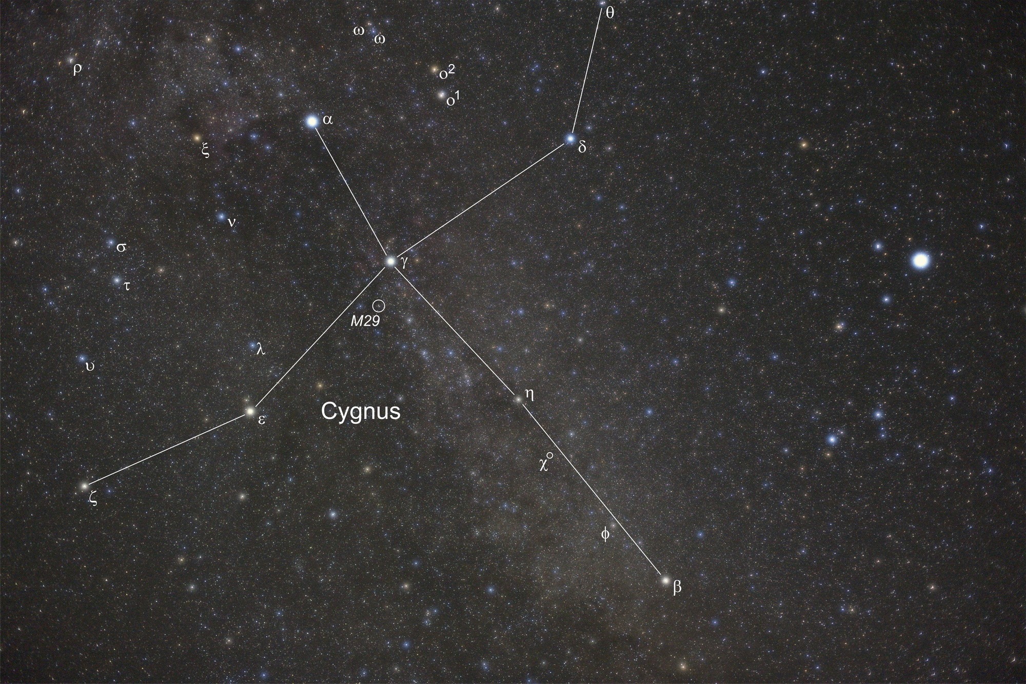 cygnus m29