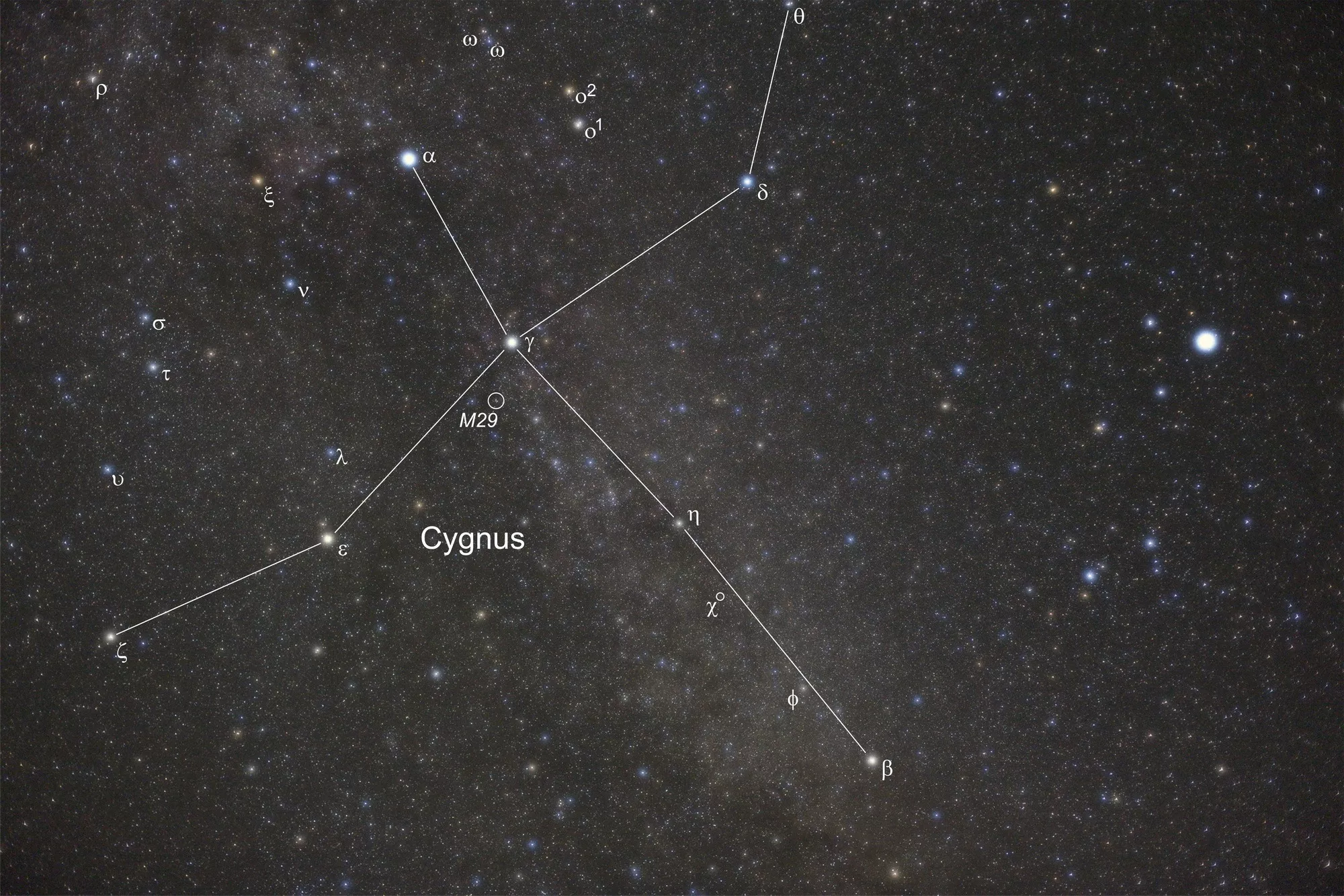 cygnus m29