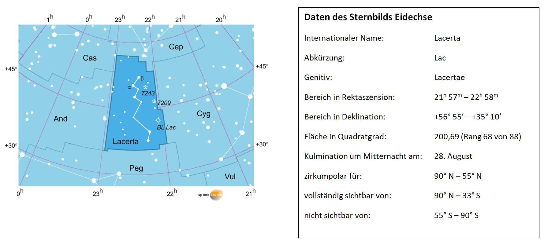 daten des sternbilds eidechse