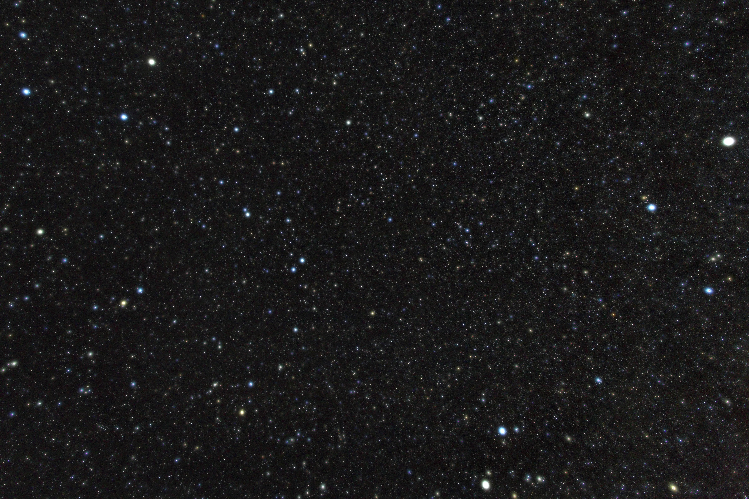 foto sternbild luchs lynx