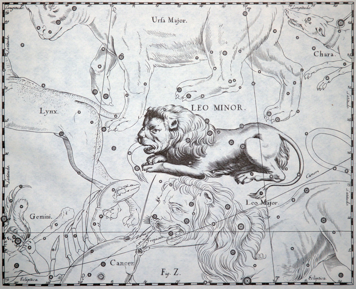 leo minor hevelius atlas