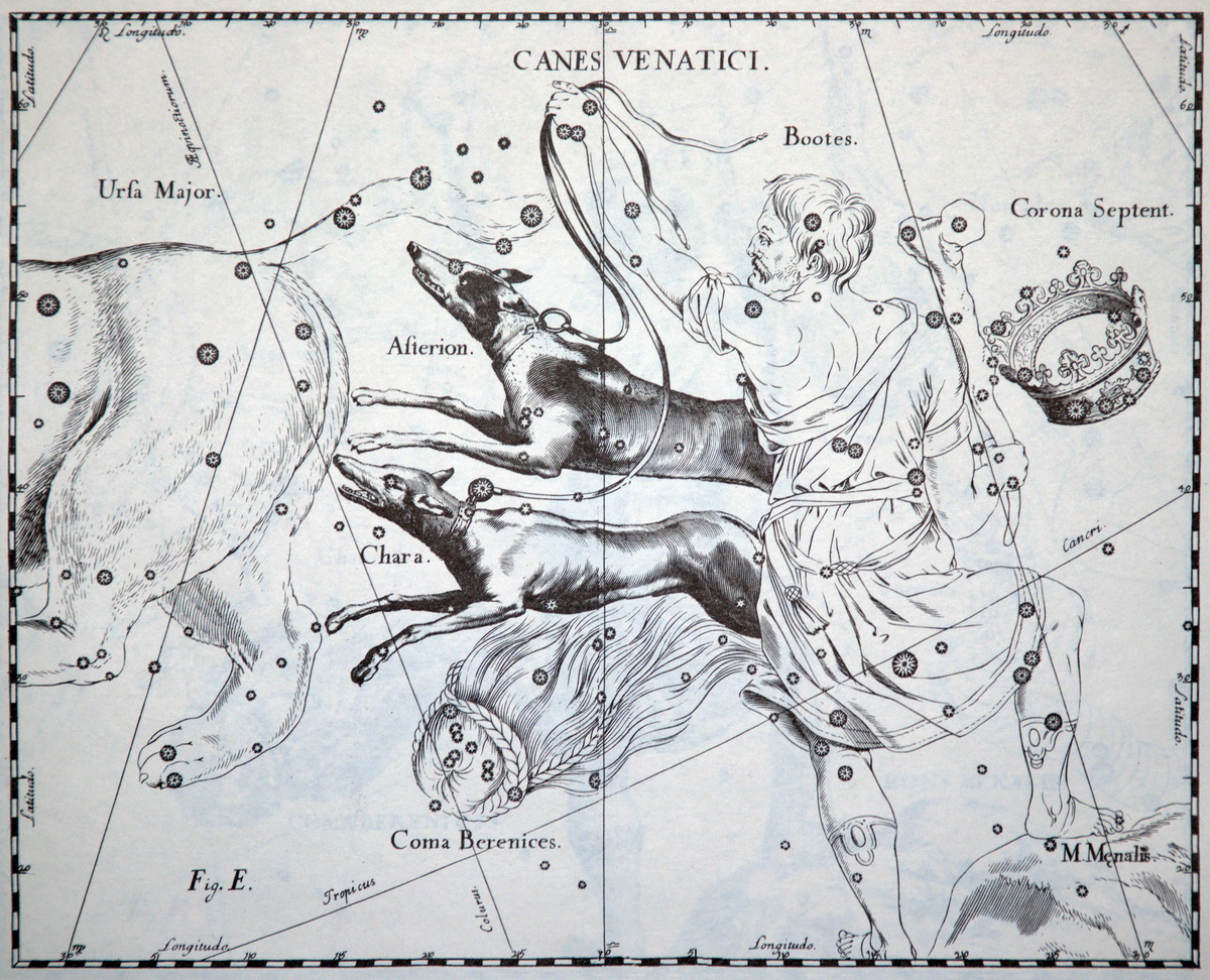 sternbild jagdhunde canes venatici hevelius atlas