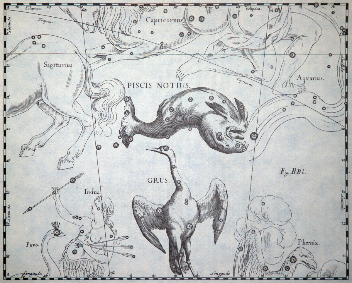 sternbild piscis austrinus hevelius atlas